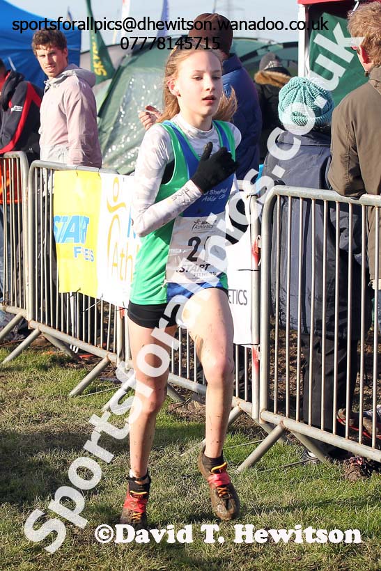 Girls under-13s Northern Cross Country  Championships, Pontefract. Photo: David T. Hewitson/Sports for All Pics